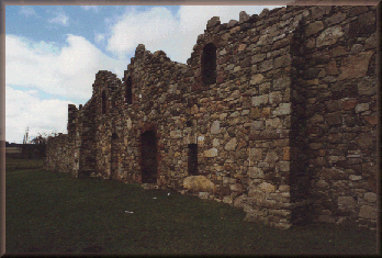 Medieval Abbey, Deer